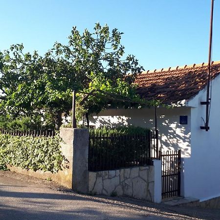 Luminaria Solis Vacation Home Rogoznica  Bagian luar foto
