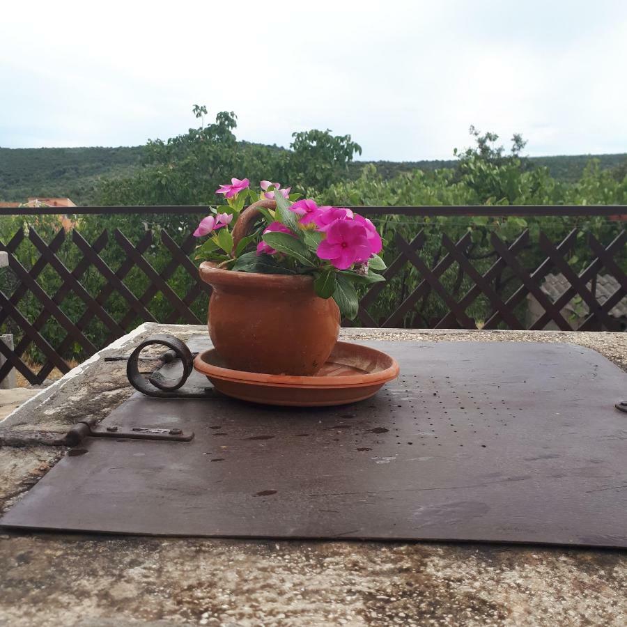 Luminaria Solis Vacation Home Rogoznica  Bagian luar foto